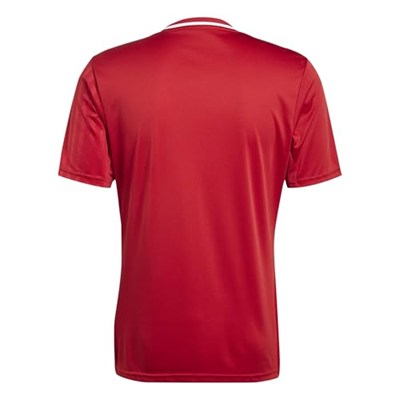 Adidas Campeon25 Jsy M Erkek Futbol Antrenman Forması JF6058Kırmızı