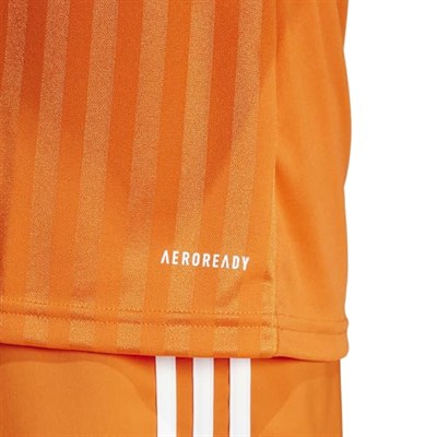Adidas Campeon25 Jsy M Erkek Futbol Antrenman Forması JF6061Mavi