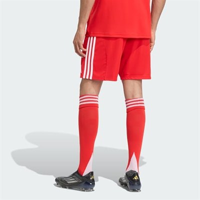 adidas FC Bayern 25/26 İç Saha Şortu JJ2133 Kırmızı