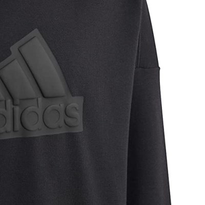 adidas Future Icons Logo Hooded Sweatshirt