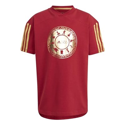 adidas Lk Dy 100 T Çocuk Günlük Tişört IN7306 Kırmızı