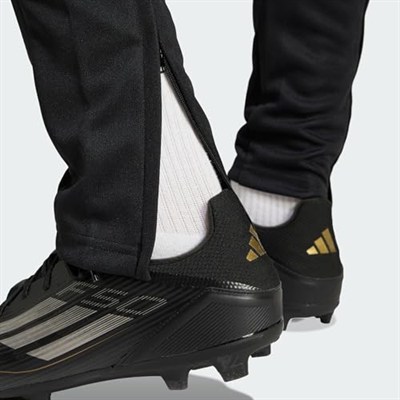adidas Squadra 25 Training Erkek Eşofman Altı