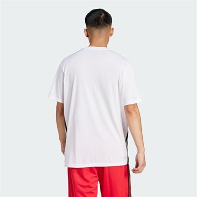 adidas TR-ES FR 3S T Yürüyüş Tişörtü Erkek