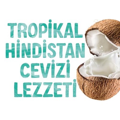 Alpro Hindistan Cevizi Bitki Bazlı İçecek 1 L