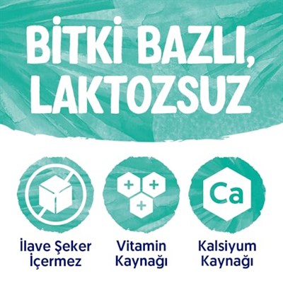 Alpro Hindistan Cevizi Bitki Bazlı İçecek 1 L