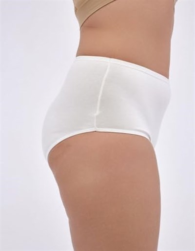 ALYA UNDERWEAR Kadın İç Çamaşırı, Büyük Beden Yüksek Bel Kadın Külotlar, Nefes Alabilir, Organik, Extra Battal, Pamuklu Kadın Çamaşırı, 5li Paket (8XL, 9XL, 10XL)
