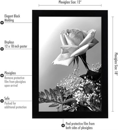 Americanflat Cilalı Pleksiglas ile 12x18 Poster Çerçevesi - Epik Koleksiyon - Ahşap Galeri Duvar Çerçeveleri - Duvar Ekranı için Fotoğraf Çerçevesi - Siyah