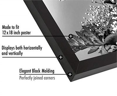 Americanflat Cilalı Pleksiglas ile 12x18 Poster Çerçevesi - Epik Koleksiyon - Ahşap Galeri Duvar Çerçeveleri - Duvar Ekranı için Fotoğraf Çerçevesi - Siyah