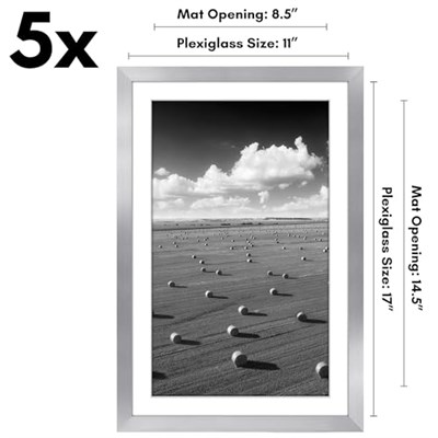 Americanflat Resim çerçevesi seti, 28,9 x 43,2 cm, gümüş renkli, 22,9 x 38,1 cm resim çerçevesi olarak kullanılabilir, paspartulu veya 28,9 x 43,2 cm, paspartusuz, resim çerçevesi kolajı, duvar