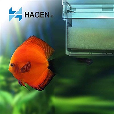 AquaClear 70 Köpük
