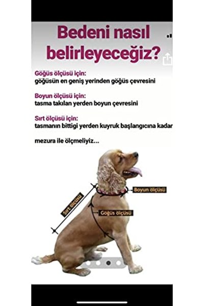 Aria Pet Boutique Köpek Peluş Bere (Medium)