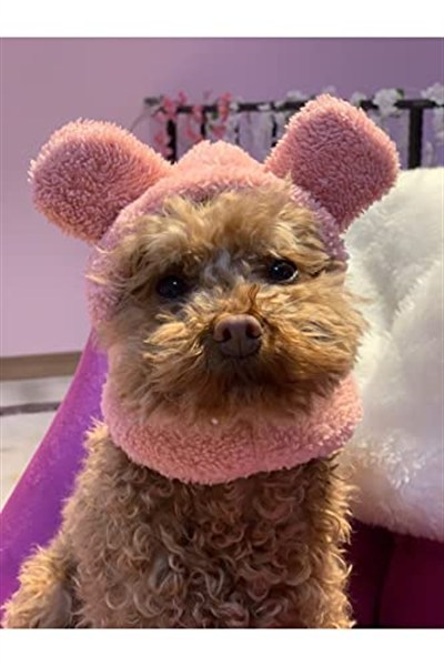 Aria Pet Boutique Köpek Peluş Bere (Medium)