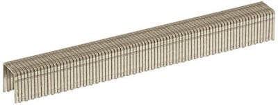 Arrow D Staples Box 1000 – Stainless Steel 508SS 12 mm 1/2