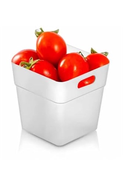 ARVALE 6lı Buzdolabı Kapak İçi Düzenleyici Organizer Buzdolabı ve Banyo Organizeri 6 Adet