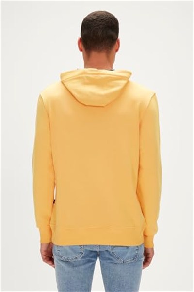 Bad Bear Bad Neck Hoodie Kazak Erkek