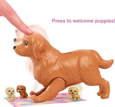 Barbie ve Hayvan Dostları Barbie ve Hayvan Dostları Oyun Seti, köpek, 3 yavru köpek ve aksesuarlar, 3-7 yaş HCK75