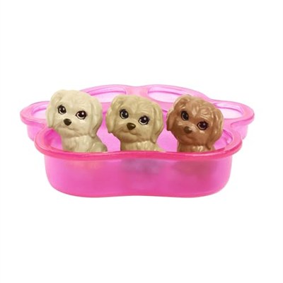 Barbie ve Hayvan Dostları Barbie ve Hayvan Dostları Oyun Seti, köpek, 3 yavru köpek ve aksesuarlar, 3-7 yaş HCK75