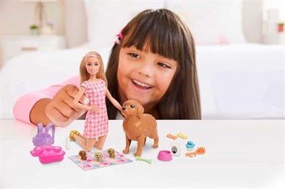 Barbie ve Hayvan Dostları Barbie ve Hayvan Dostları Oyun Seti, köpek, 3 yavru köpek ve aksesuarlar, 3-7 yaş HCK75