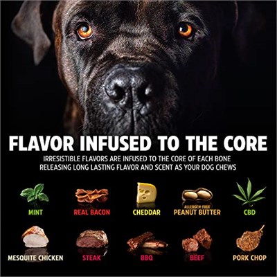 BarkBone Köpek Çiğneme Kemiği (Small) – Nane Aromalı, Bitmeyen Dayanıklı Oyuncak – Alerjensiz, Diş Temizleyici, Stres Azaltıcı Naylon Kemik - Seçenekler: Küçük, Küçük (2 paketi)