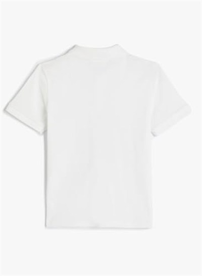 Basic Polo Yaka Tişört Kısa Kollu Pamuklu