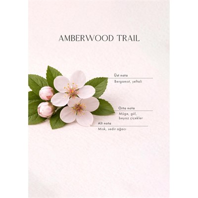 Bella Maison Amberwood Trail Soya Wax Kokulu Mum Sarı (120 Gr) Sarı