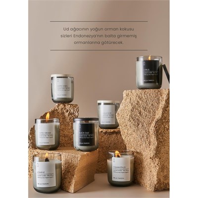 Bella Maison Black Oud Ahşap Fitilli Soy Wax Mum Antrasit