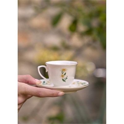 Bella Maison Daisy 2li Kahve Fincanı Seti Krem (90 Cc) Krem