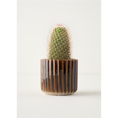 Bella Maison Lavea Seramik Saksı Gri (13x13x12 Cm) Gri