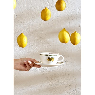 Bella Maison Lemoncello Porselen 2li Çay Fincanı Seti (270 Cc) Çok Renkli