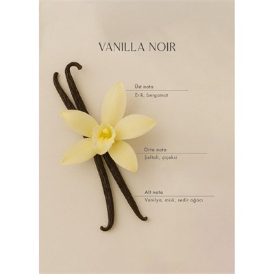 Bella Maison Vanilla Noir Oda Spreyi Siyah (500 Ml) Siyah