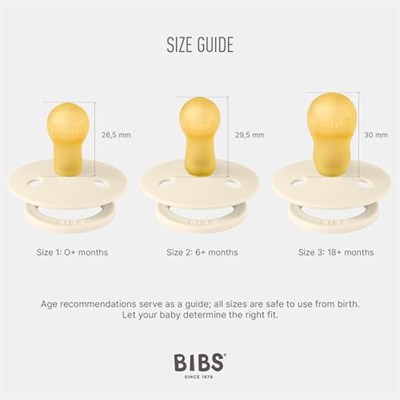 Bibs Colour İkili Kauçuk Emzik- Ivory/Sage 6+ Ay