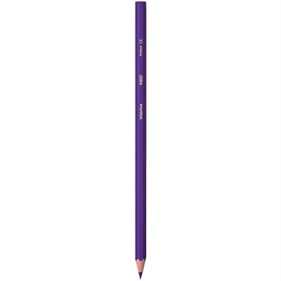 BIC Kids Evolution Kuru Boya Kalemi, 12li Kutu, Kıymık Oluşturmaz, Çiğnemeye Karşı Dayanıklı, Kolay Açılır