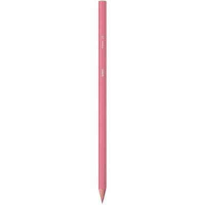 BIC Kids Tropicolors Kuru Boya Kalemi 24 Renk, Kıymık Oluşturmaz, Ağaç Kesilmeden Üretilmiştir, Çiğnemeye Dayanıklı