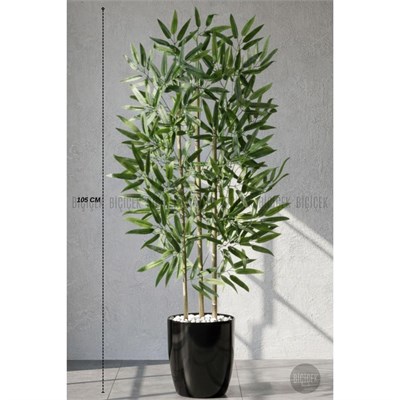 Biçiçek 110 Cm Bambu Ağacı Yakut Saksıda Siyah