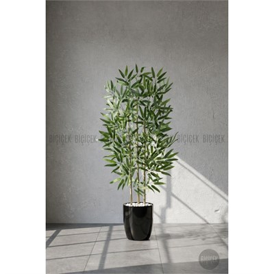 Biçiçek 110 Cm Bambu Ağacı Yakut Saksıda Siyah