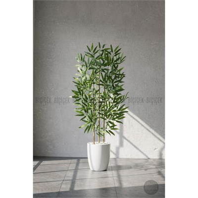 Biçiçek 110 Cm Bambu Ağacı Yakut Saksıda Bej