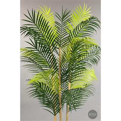Biçiçek 120cm Areka Ağacı 24 Yapraklı Küre Saksıda 3
