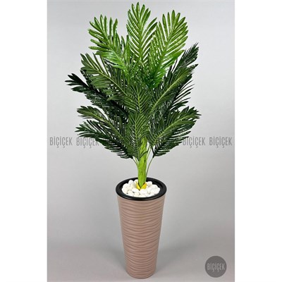 Biçiçek 150cm Areka Ağacı Kumsal Saksıda 3