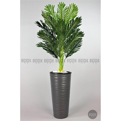 Biçiçek 150cm Areka Ağacı Kumsal Saksıda 2