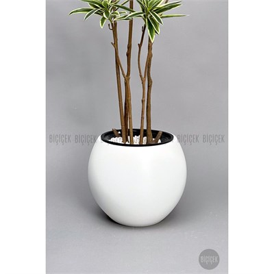 Biçiçek 160 Cm Dragon Bitkisi Yapay Dracaena Küre Saksıda Beyaz1