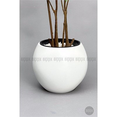 Biçiçek 160 Cm Dragon Bitkisi Yapay Dracaena Küre Saksıda Beyaz