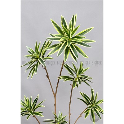 Biçiçek 160 Cm Dragon Bitkisi Yapay Dracaena Küre Saksıda Beyaz1