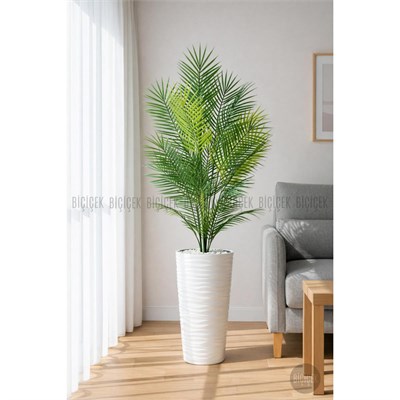 Biçiçek 180 Cm Areka Ağaci 24 Yaprakli Li̇lyum Saksida Beyaz