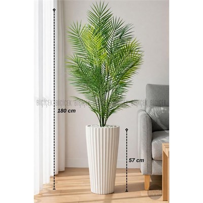 Biçiçek 180 Cm Areka Ağaci 24 Yaprakli Li̇lyum Saksida Beyazlilyum