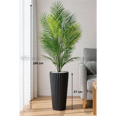 Biçiçek 180 Cm Areka Ağaci 24 Yaprakli Li̇lyum Saksida Siyahlilyum