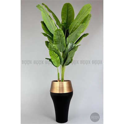 Biçiçek 220cm Starliçe Bitkisi Cleopatra Saksıda Siyah Gold