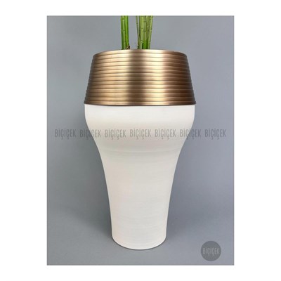 Biçiçek 220cm Starliçe Bitkisi Cleopatra Saksıda Krem Gold