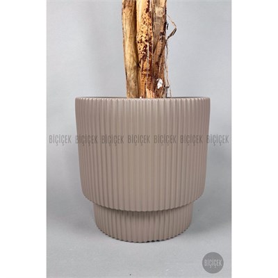 Biçiçek Areka Ağacı 220-240 Cm Kahverengigala