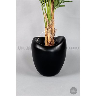 Biçiçek Areka Ağacı 220-240 Cm Siyahfiber1