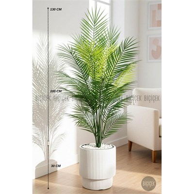 Biçiçek Areka Ağaci 24 Yaprakli 120-130 Cm Beyaz